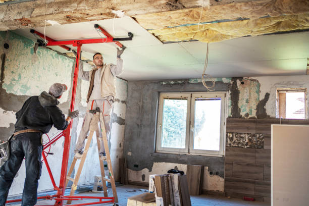 Best Insulation Maintenance and Repair in Ignacio, CO